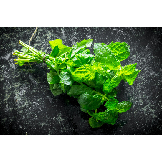 VS Mint 10ml