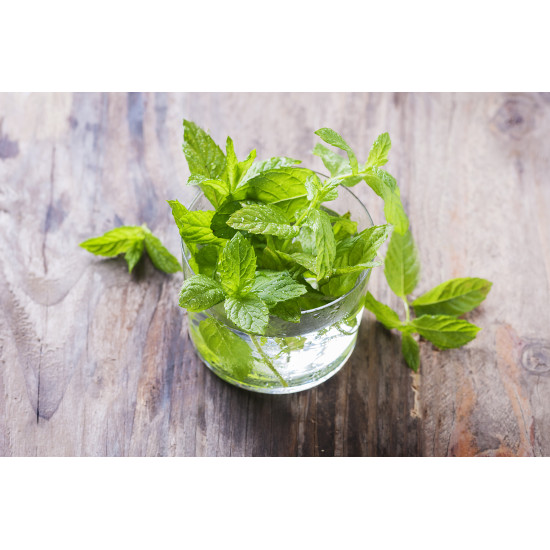 VS Spearmint 10ml VS Spearmint 10ml