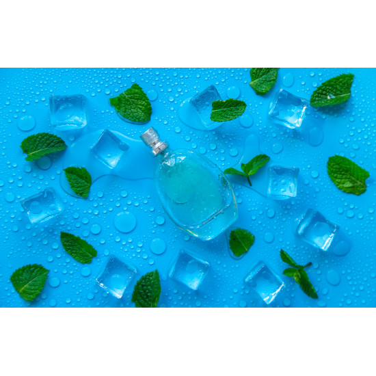 VS Menthol 10ml